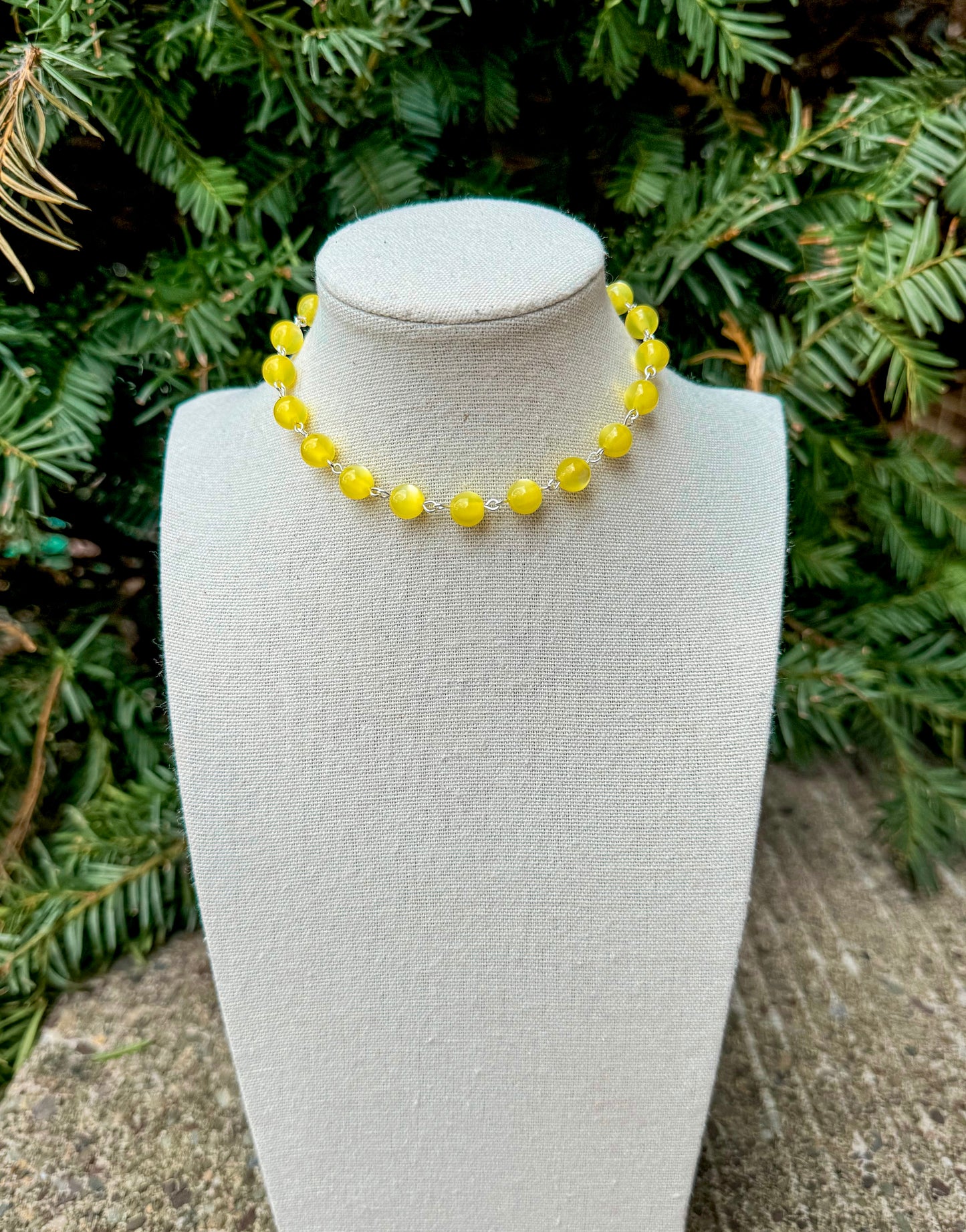Daffodil